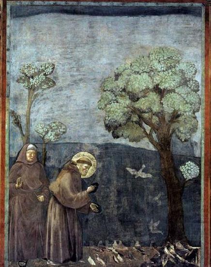 GIOTTO di Bondone Sermon to the Birds